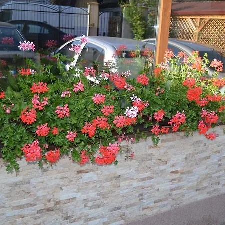Andrei Guest house Baile Olanesti