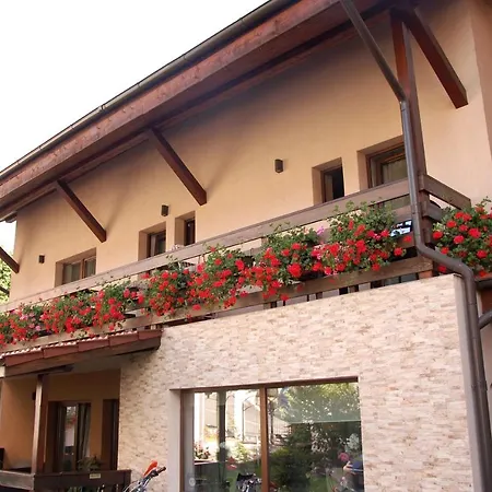 Guest house Andrei *
