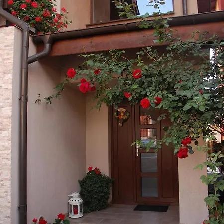 Guest house Andrei Baile Olanesti
